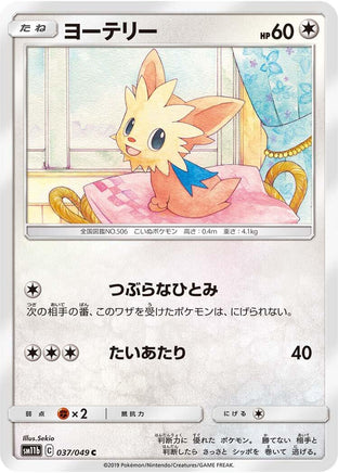 Lillipup