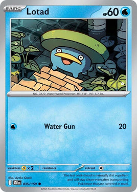 Lotad